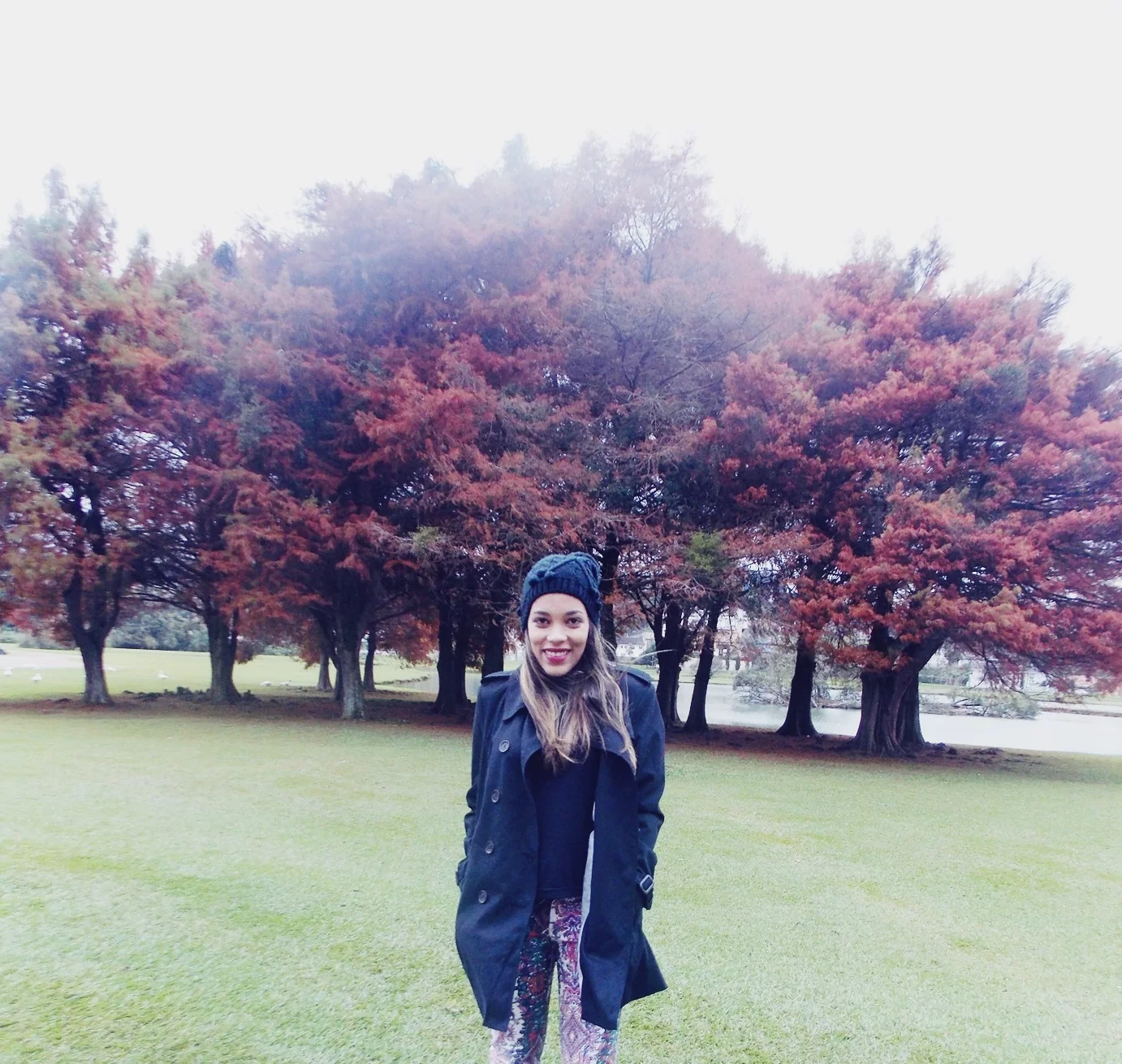 viajar para Curitiba