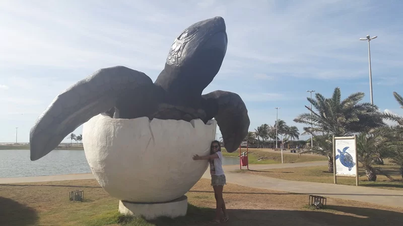 Projeto tamar em aracaju