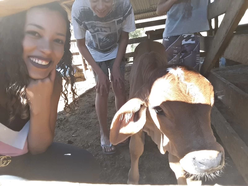 VLOG MINAS GERAIS UM DIA NA ROÇA COMIGO 