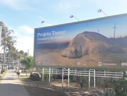 PROJETO TAMAR EM ARACAJU ♥ OCEANÁRIO E PRESERVAÇÃO