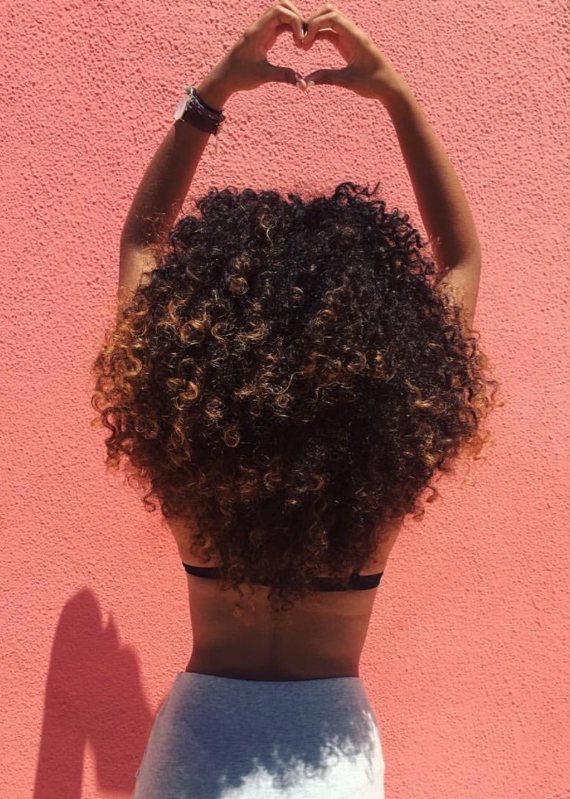 » Tudo sobre No Poo O