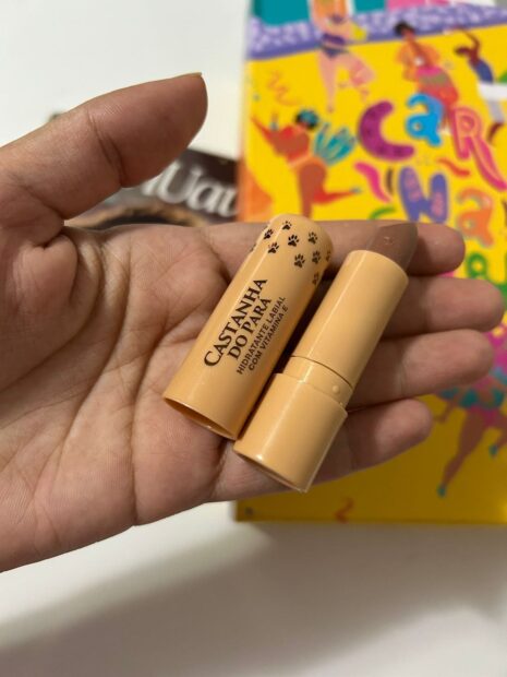 Cupom de desconto da UAUBox: lip balm leoa